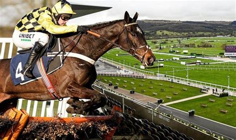 cheltenham 2020 results